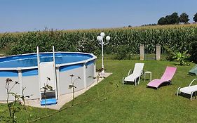 Maison De Vacances Avec Piscine, Proche Strasbourg Et Europa Park